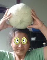 팜모닝 · 게시글 이미지