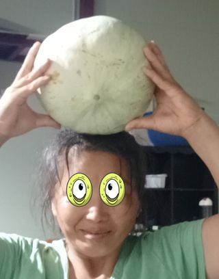 산성골농장님의 작성글 사진