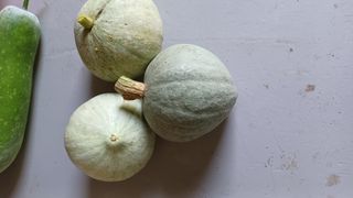 산성골농장님의 작성글 사진