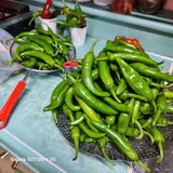 팜모닝 태풍 정보 공유해요·참여글 게시글 이미지