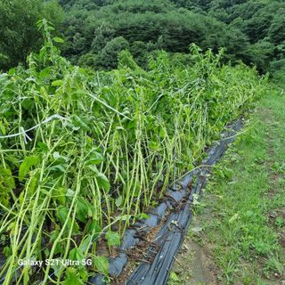 가야산자락한수덕님의 태풍 정보 공유해요 · 참여글 작성글 사진
