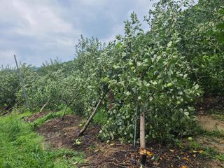 최한목님의 태풍 정보 공유해요 · 참여글 작성글 사진