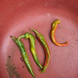 팜모닝 고추·병해충상담 게시글 이미지