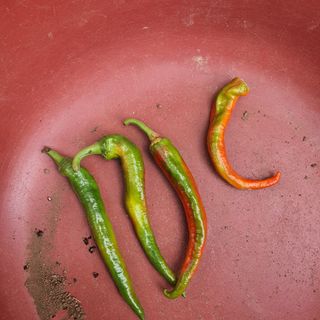 죽전님의 고추 · 병해충상담 작성글 사진