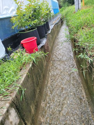 김유숙님의 참깨 · 자유게시판 작성글 사진