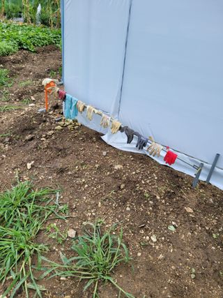 김유숙님의 참깨 · 자유게시판 작성글 사진