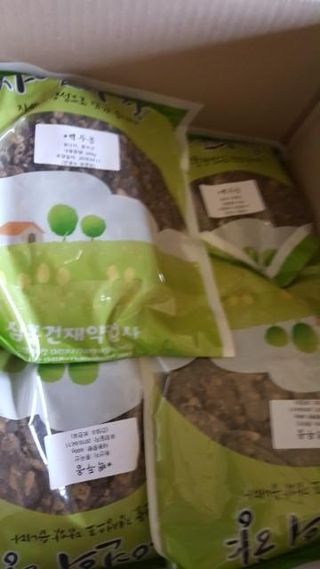 정용일님의 고추 · 일상 작성글 사진