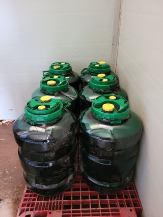 정용일님의 고추 · 일상 작성글 사진