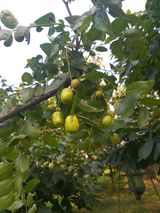 팜모닝 자유주제·자유게시판 게시글 이미지