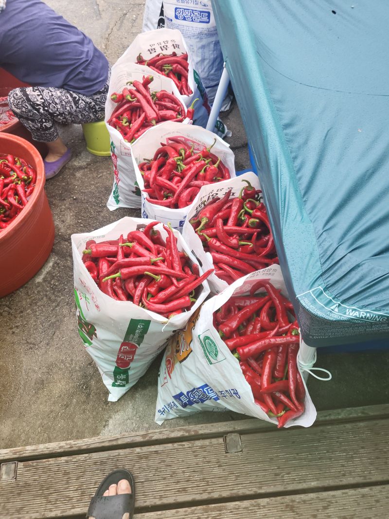 이상욱님의 장터 판매 상품 [충북제천 2025년건고추가루 한근600g] 첨부 사진