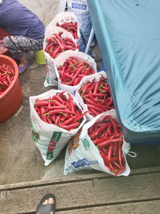 이상욱님의 작성글 사진