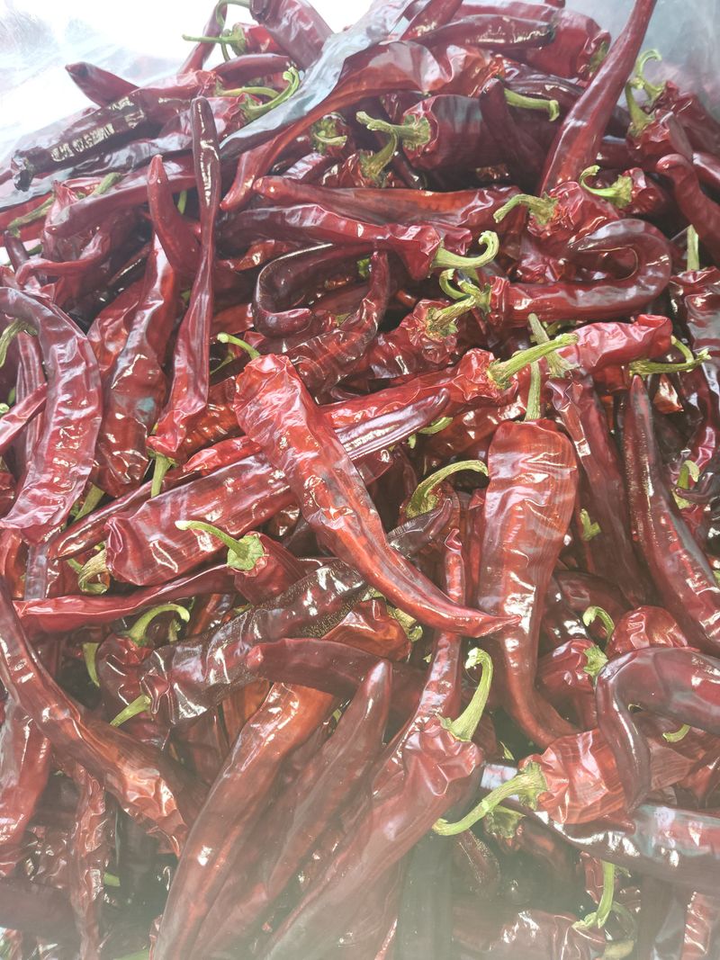 이상욱님의 장터 판매 상품 [충북제천 2025년건고추가루 한근600g] 첨부 사진