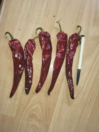 이상욱님의 작성글 사진