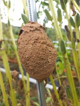 팜모닝 자유주제·자유게시판 게시글 이미지