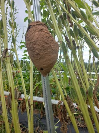 갑산 아리랑님의 자유주제 · 자유게시판 작성글 사진