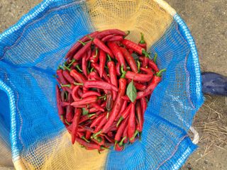 김영진(전남영광)님의 작성글 사진