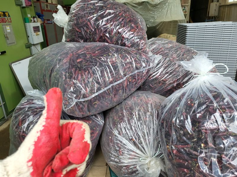 김영진(전남영광)님의 장터 판매 상품 [고추가루 600g ( 전남 영광산 )] 첨부 사진