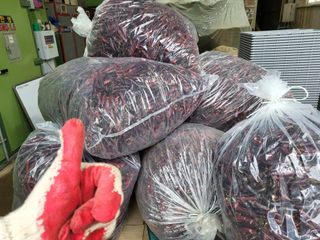 김영진(전남영광)님의 작성글 사진