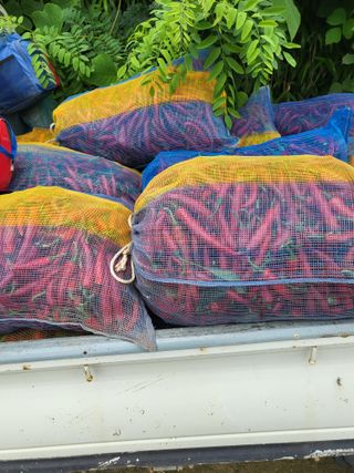 김영진(전남영광)님의 작성글 사진