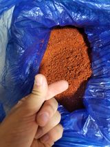 팜모닝 · 게시글 이미지