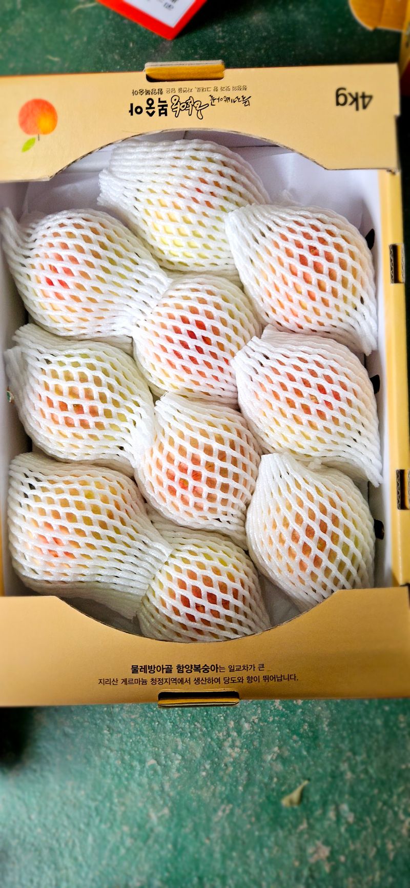 하지훈님의 장터 판매 상품 [천중도 복숭아 특(9-10과) 4kg] 첨부 사진