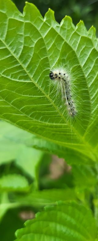 진잠농원님의 자유주제 · 자유게시판 작성글 사진