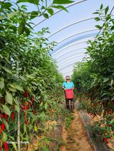 팜모닝 8월 내 작물 자랑하기·참여글 게시글 이미지