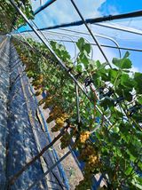 팜모닝 자유주제·자유게시판 게시글 이미지