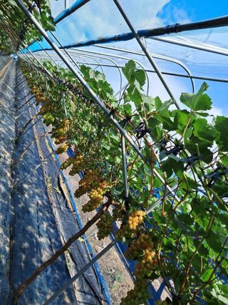 이병관님의 자유주제 · 자유게시판 작성글 사진