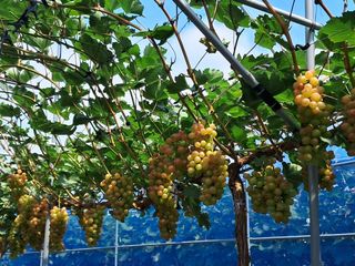 이병관님의 자유주제 · 자유게시판 작성글 사진