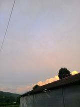 팜모닝 자유주제·자유게시판 게시글 이미지