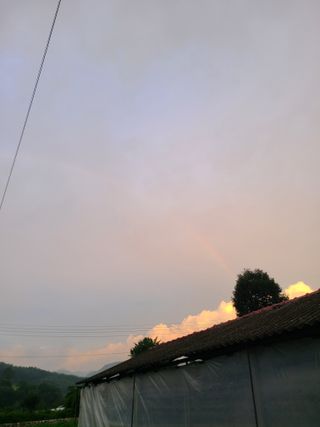 장광열님의 자유주제 · 자유게시판 작성글 사진