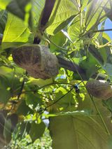 팜모닝 기타작물·자유게시판 게시글 이미지