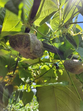 이상석님의 기타작물 · 자유게시판 작성글 사진