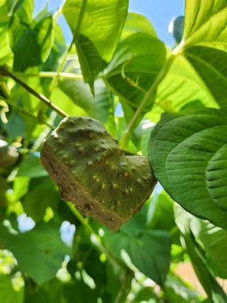 이상석님의 기타작물 · 자유게시판 작성글 사진