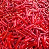 팜모닝 8월 내 작물 자랑하기·참여글 게시글 이미지