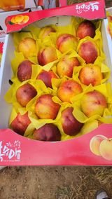 팜모닝 8월 내 작물 자랑하기·참여글 게시글 이미지