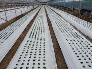 김해농부허외순님의 자유주제 · 사진전 작성글 사진