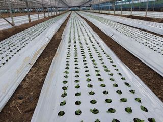 김해농부허외순님의 자유주제 · 사진전 작성글 사진