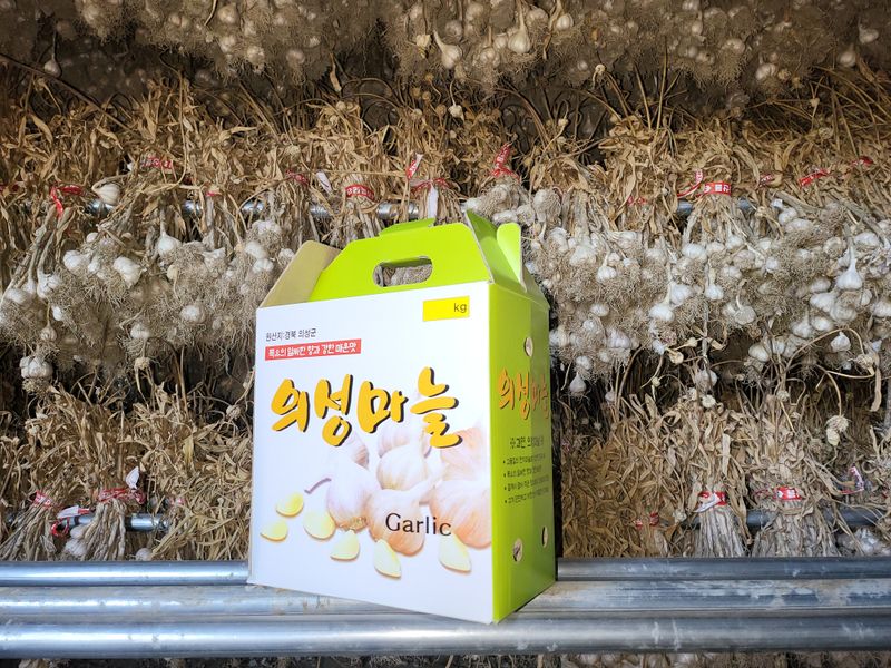 의성마늘(한지형)님의 장터 판매 상품 [경북의성 한지형 마늘(상품)] 첨부 사진