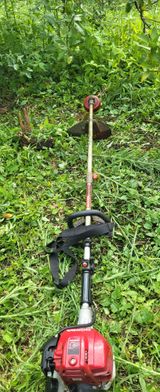 팜모닝 귤·제초 게시글 이미지