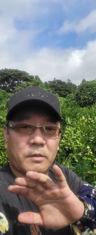 이병현님의 귤 · 제초 작성글 사진