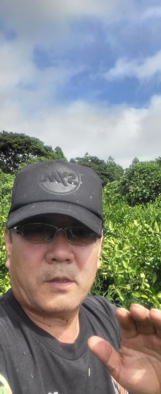 이병현님의 귤 · 제초 작성글 사진