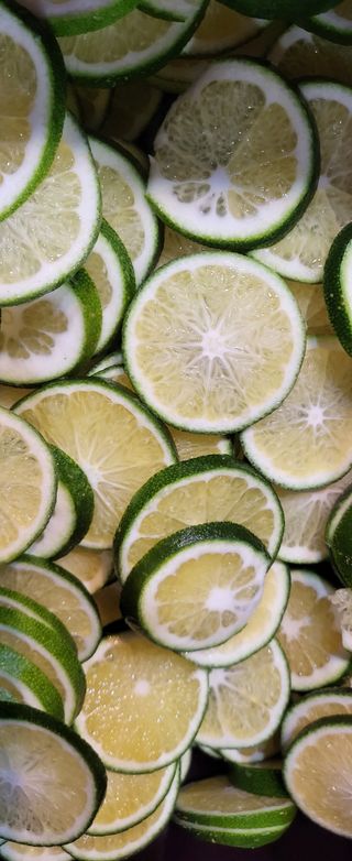 문도연님의 귤 · 일상 작성글 사진