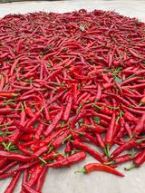 팜모닝 기타작물·자유게시판 게시글 이미지