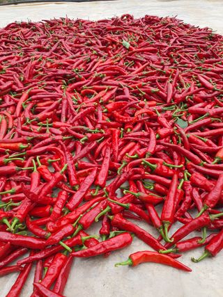 임석진님의 기타작물 · 자유게시판 작성글 사진