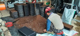 산들해 농장님의 배추 · 파종•정식 작성글 사진