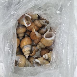 모어더더님의 8월 내 작물 자랑하기 · 참여글 작성글 사진