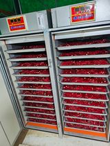 팜모닝 자유주제·자유게시판 게시글 이미지