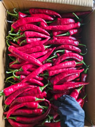 유만종님의 자유주제 · 자유게시판 작성글 사진